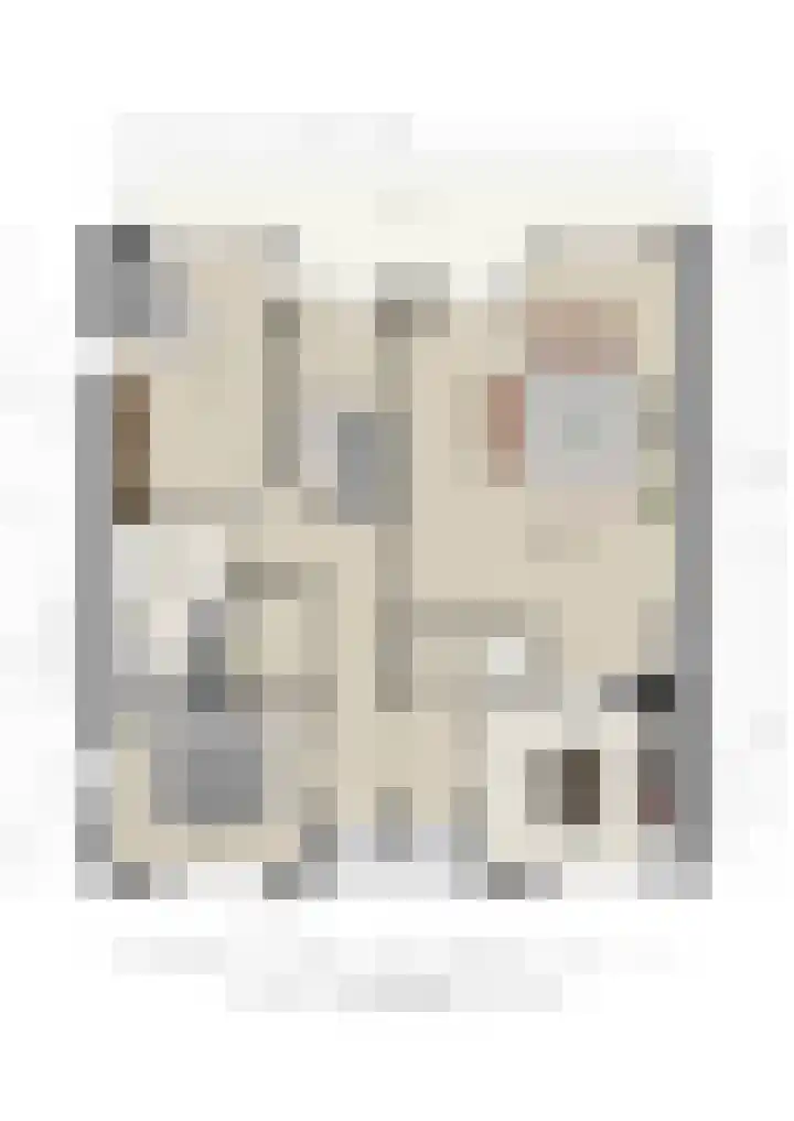 Marktstraat 54 Heino thumbnail 48