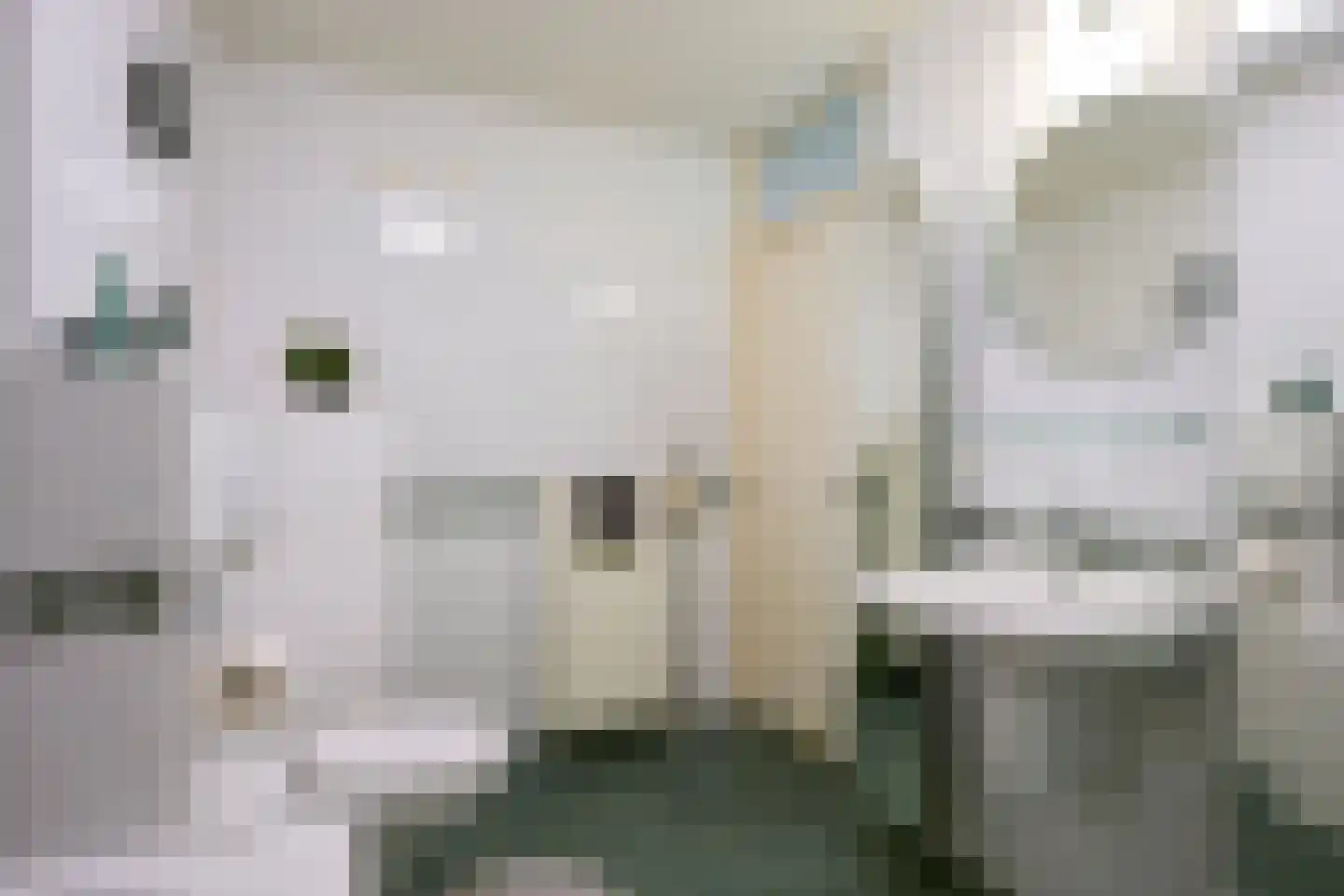 Marktstraat 54 Susteren thumbnail 27