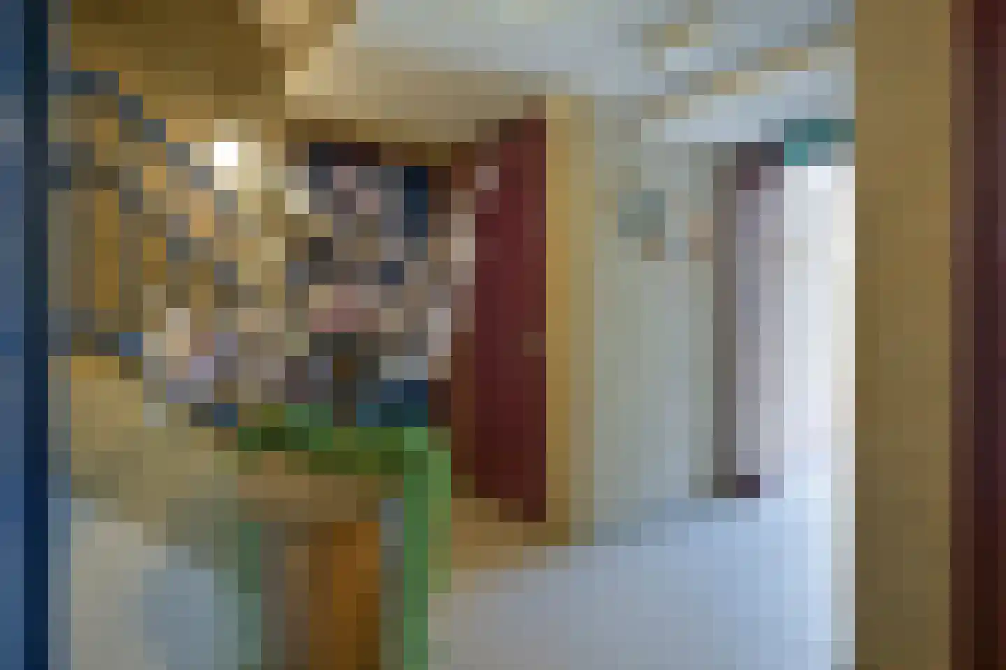 Marktstraat 54 Susteren thumbnail 40
