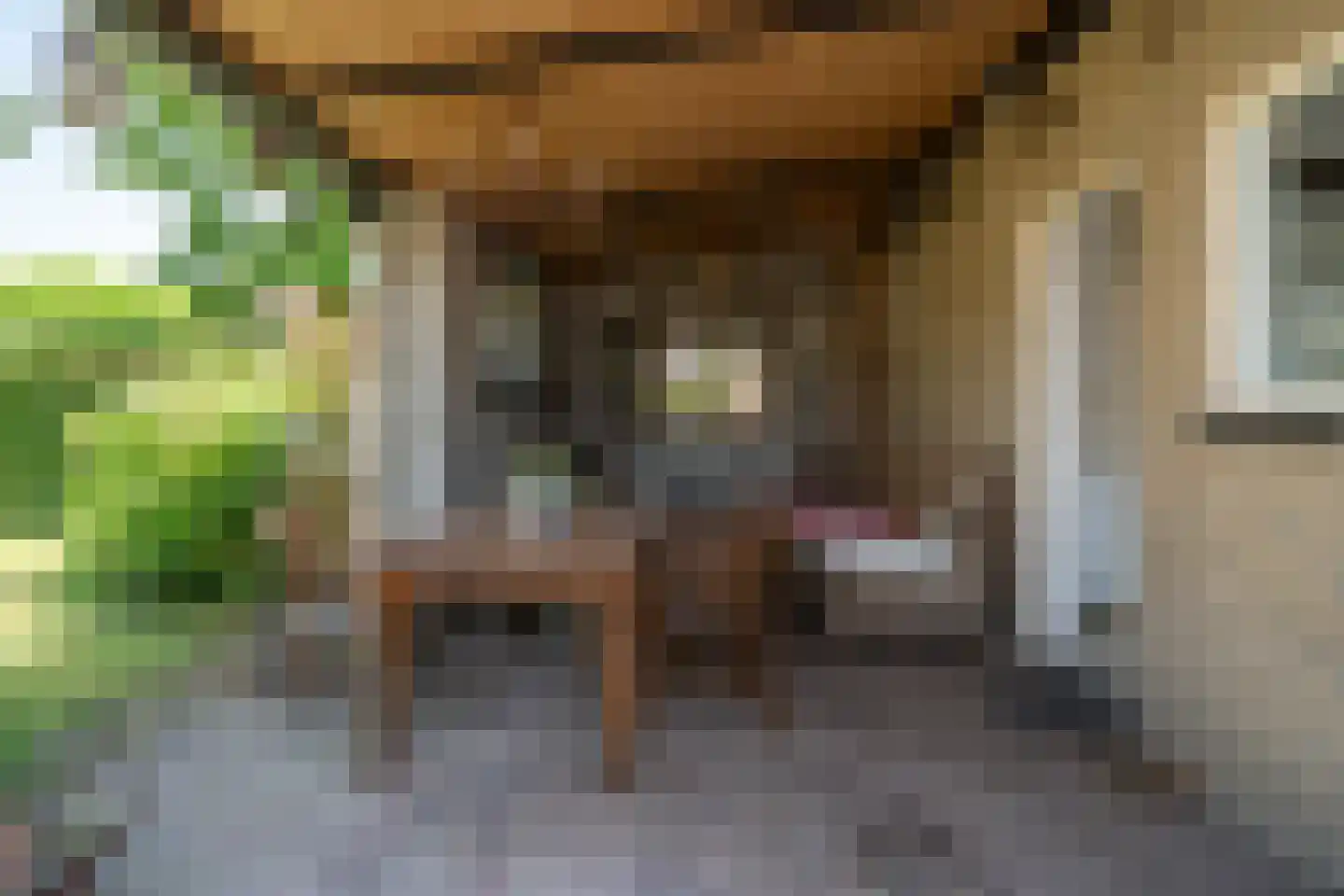 Marktstraat 58 A Mierlo thumbnail 33