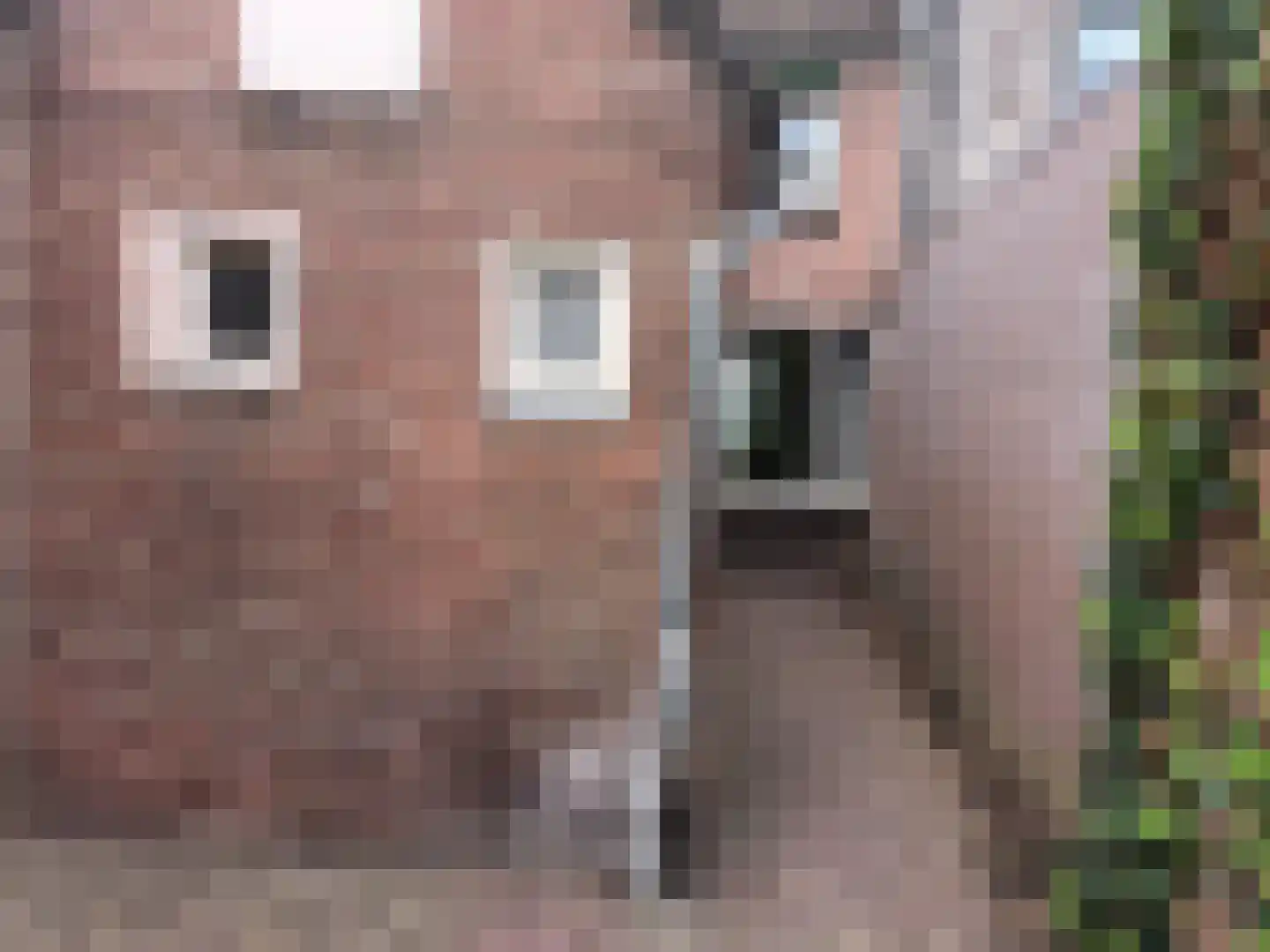 Marktstraat 58 A Mierlo thumbnail 6