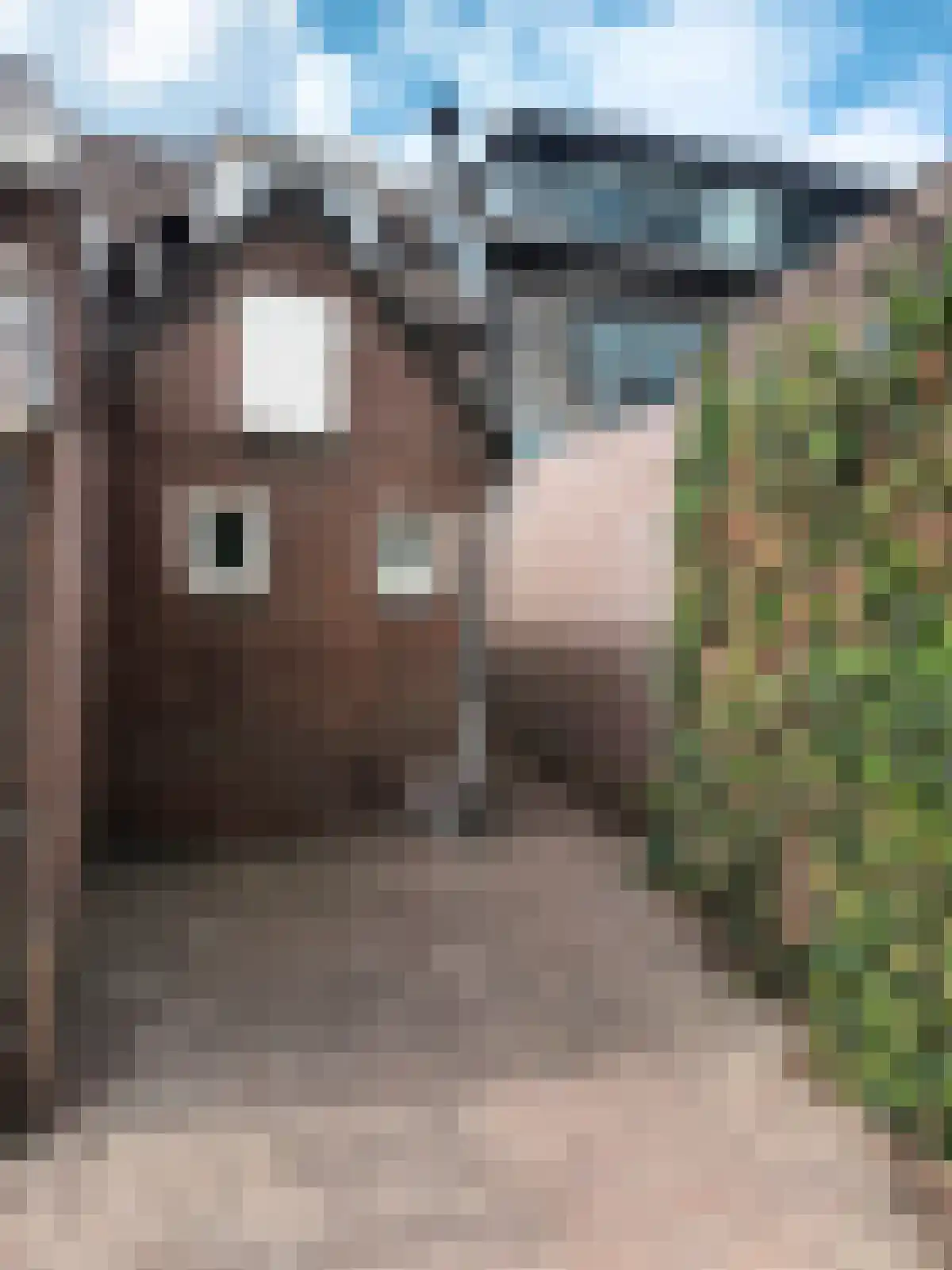 Marktstraat 58 A Mierlo thumbnail 9