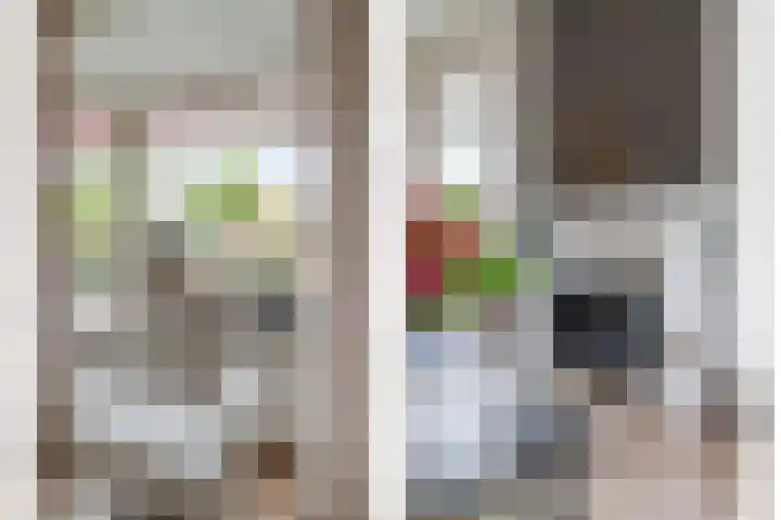 Marktstraat 60 Scherpenzeel thumbnail 10