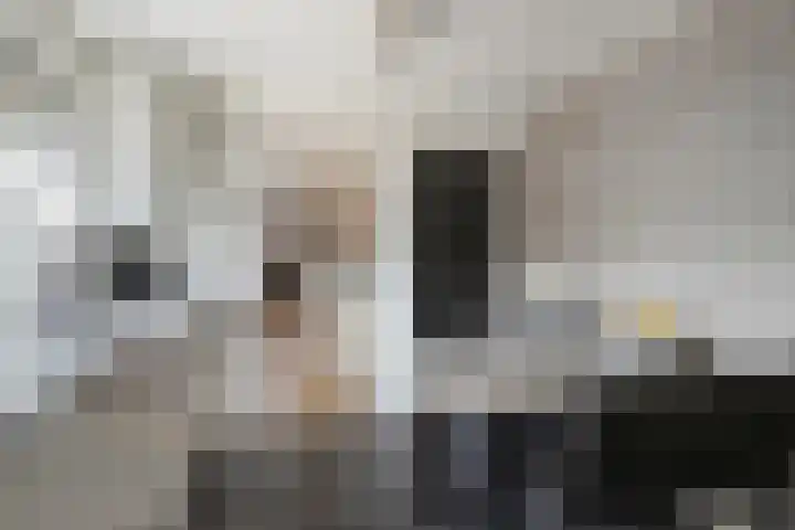 Marktstraat 60 Scherpenzeel thumbnail 12