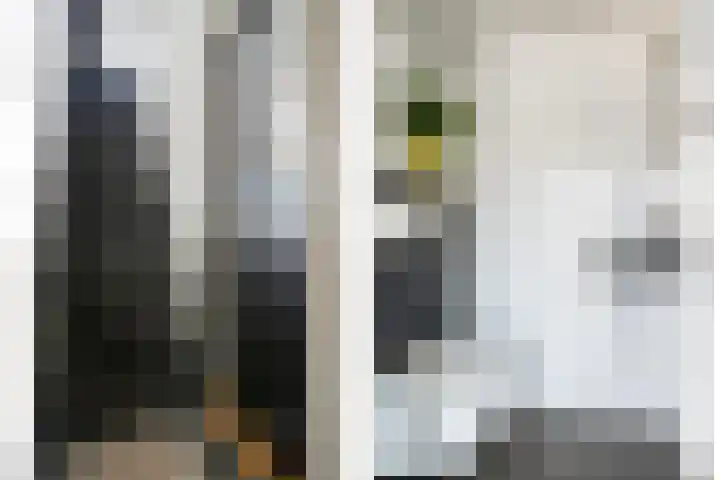 Marktstraat 60 Scherpenzeel thumbnail 17