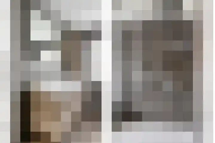 Marktstraat 60 Scherpenzeel thumbnail 19