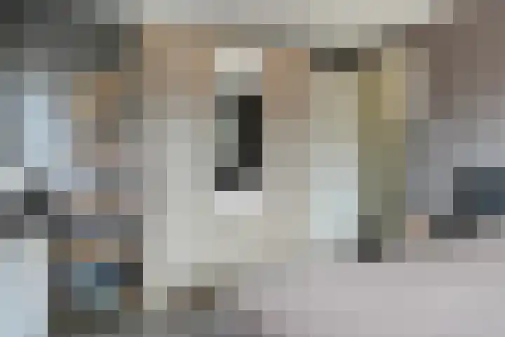 Marktstraat 60 Scherpenzeel thumbnail 24