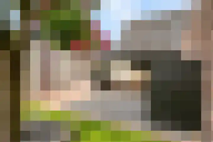 Marktstraat 60 Scherpenzeel thumbnail 32