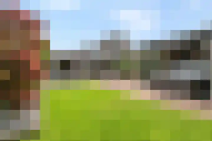 Marktstraat 60 Scherpenzeel thumbnail 33