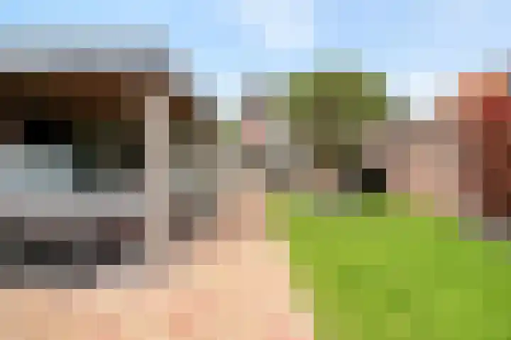 Marktstraat 60 Scherpenzeel thumbnail 35