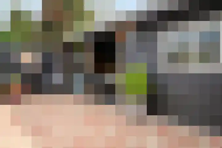 Marktstraat 60 Scherpenzeel thumbnail 36