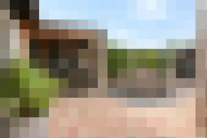 Marktstraat 60 Scherpenzeel thumbnail 37