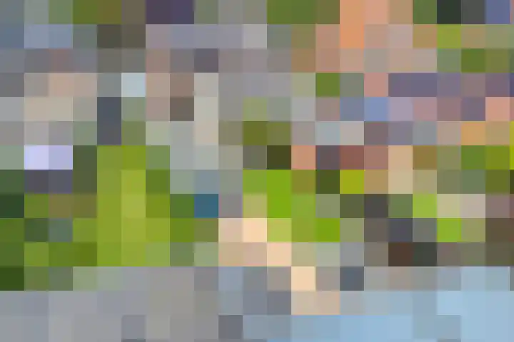 Marktstraat 60 Scherpenzeel thumbnail 45