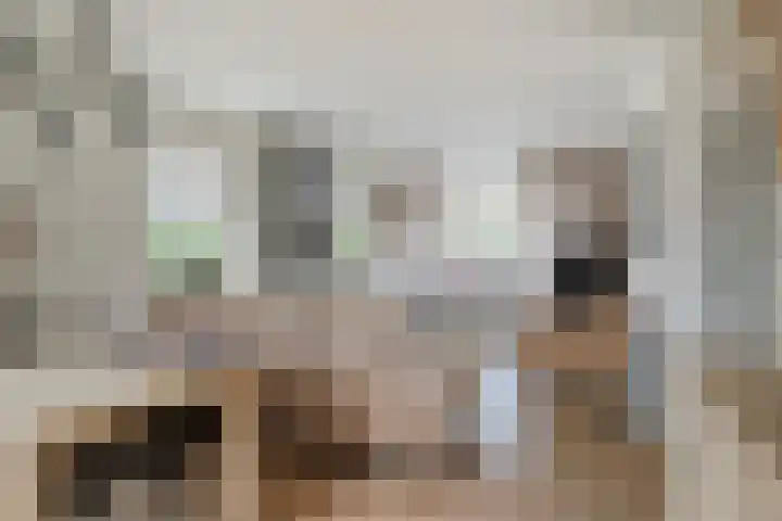 Marktstraat 60 Scherpenzeel thumbnail 5