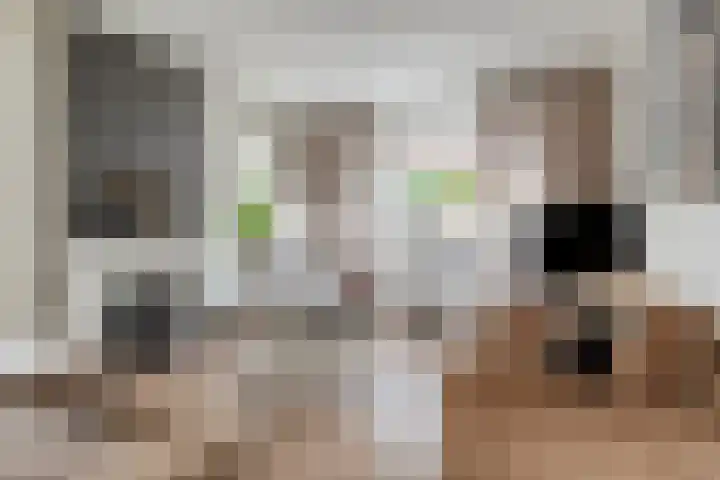 Marktstraat 60 Scherpenzeel thumbnail 7