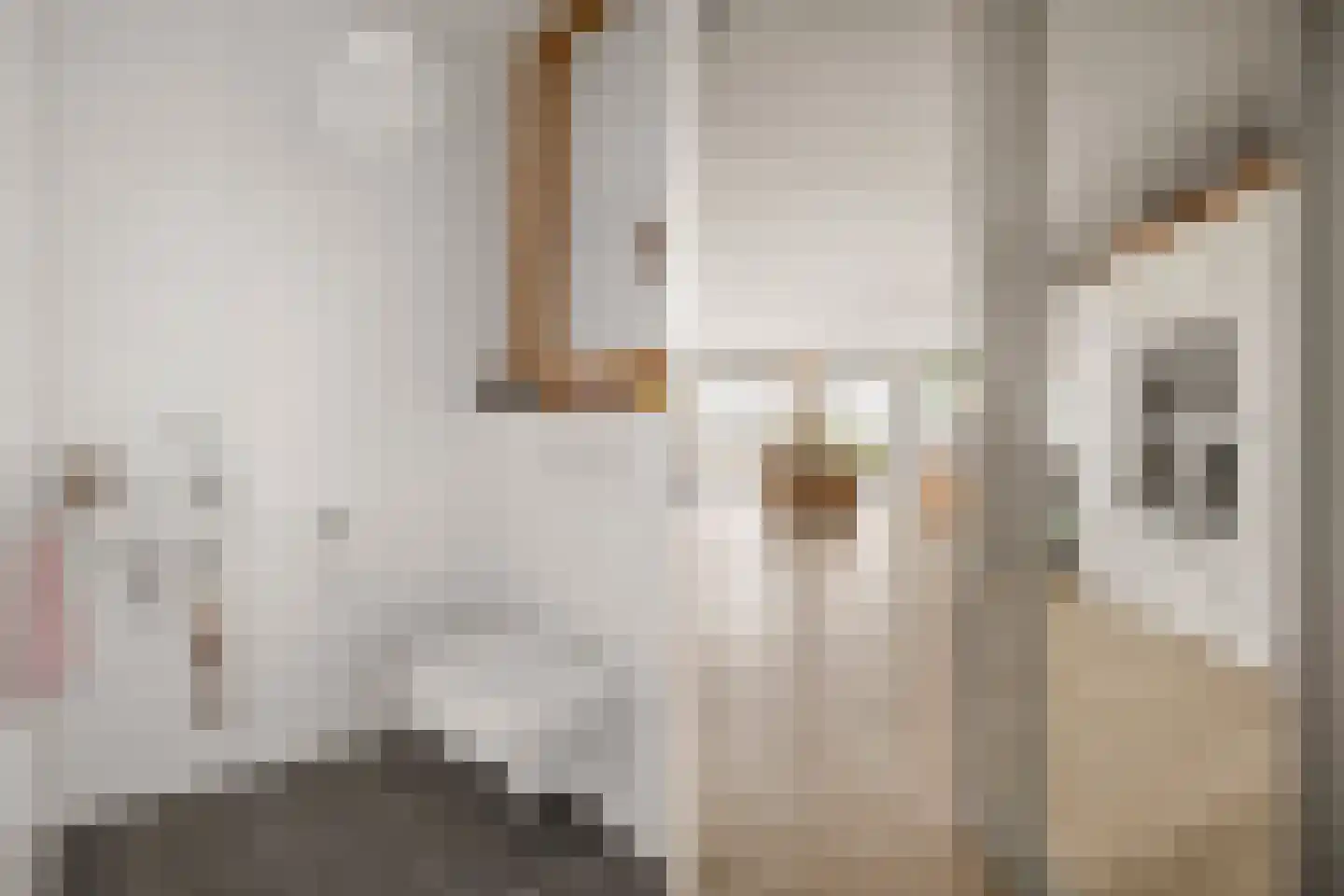 Marktstraat 62 Waddinxveen thumbnail 9