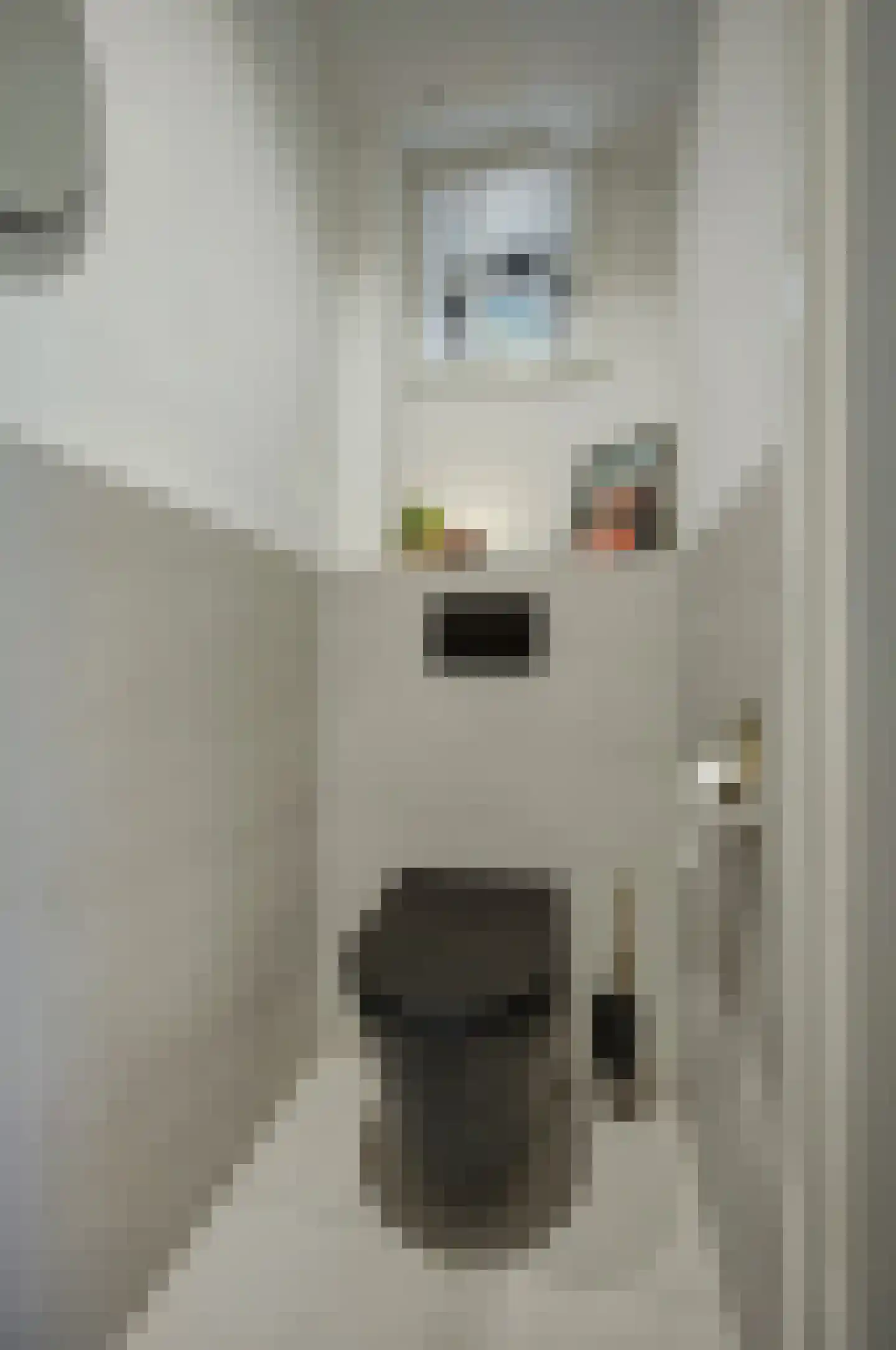 Marktstraat 7 Made thumbnail 15