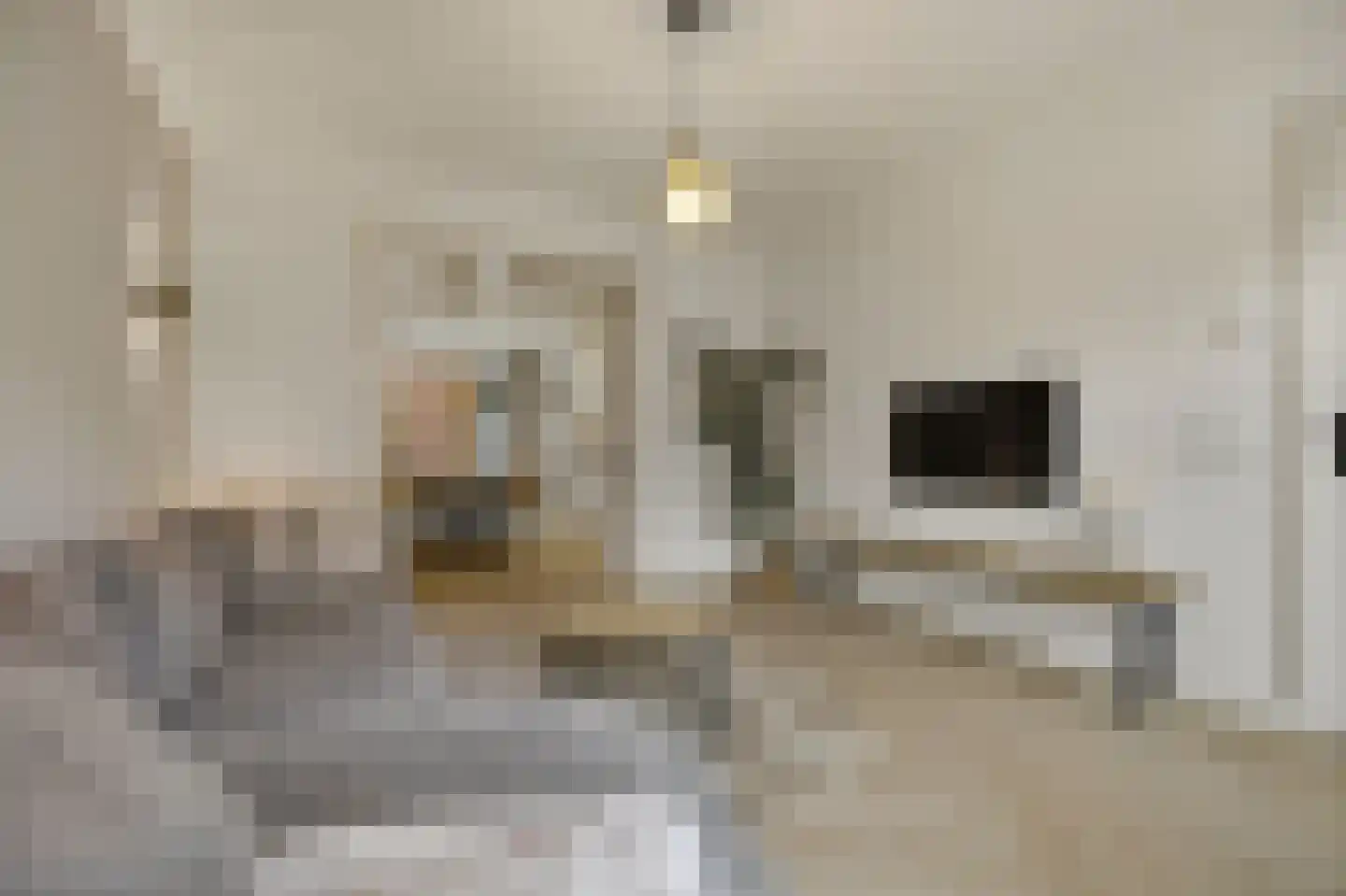 Marktstraat 7 Made thumbnail 16