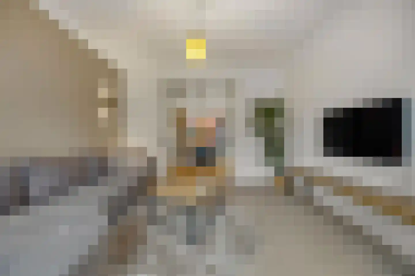 Marktstraat 7 Made thumbnail 19