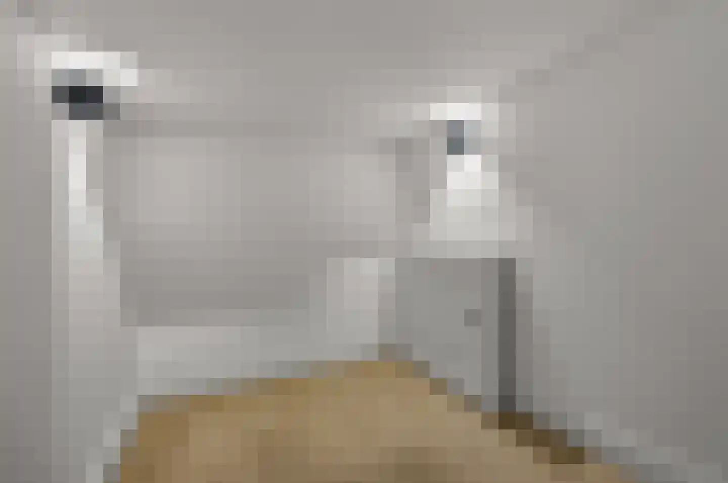 Marktstraat 7 Made thumbnail 31