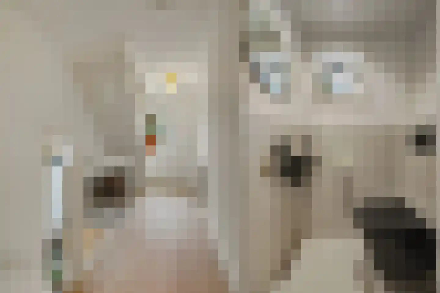 Marktstraat 7 Made thumbnail 34