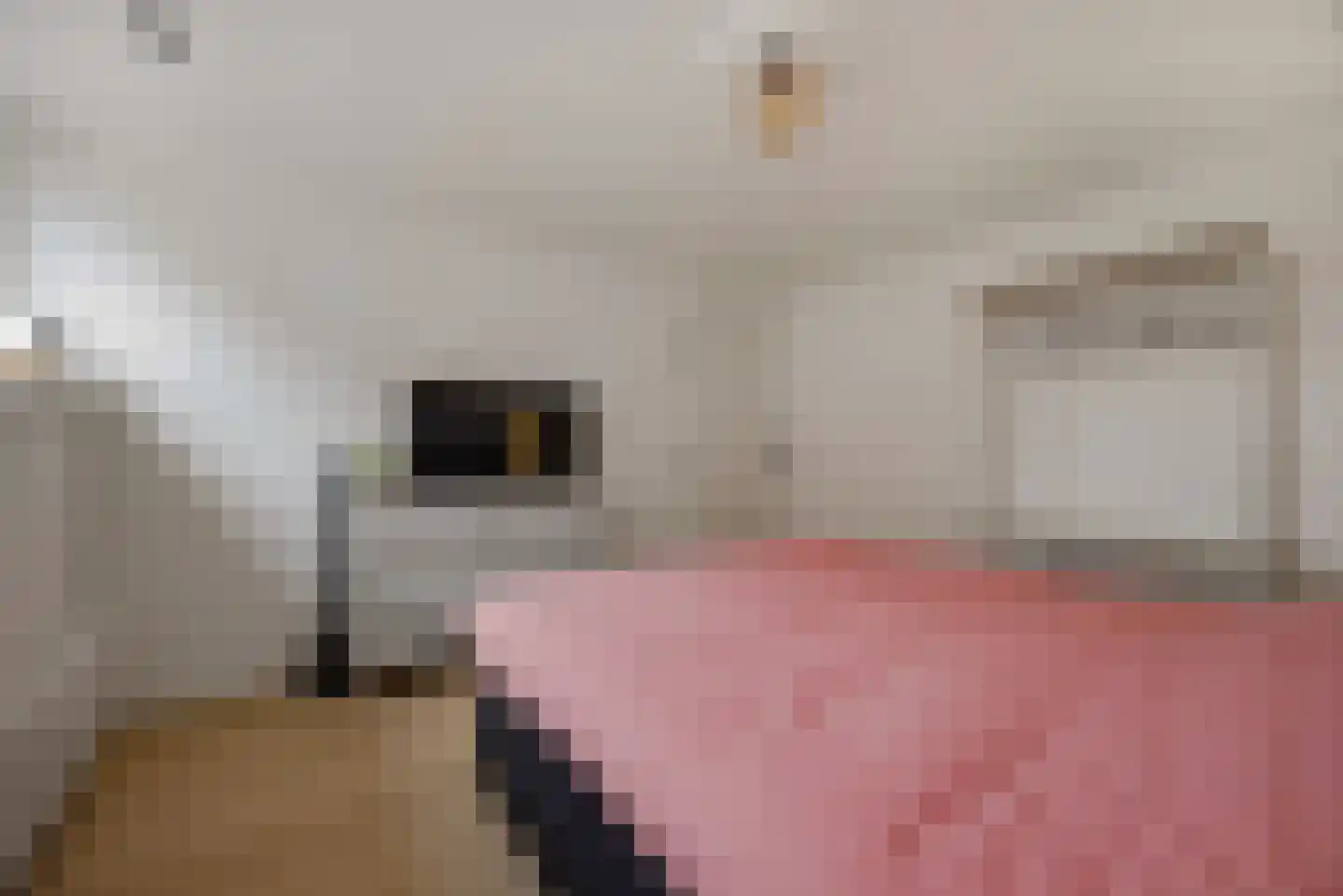 Marktstraat 7 Made thumbnail 37