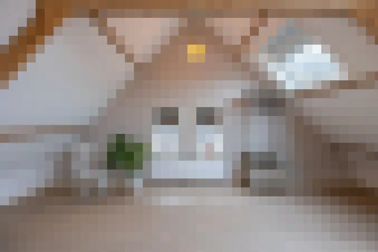 Marktstraat 7 Made thumbnail 38