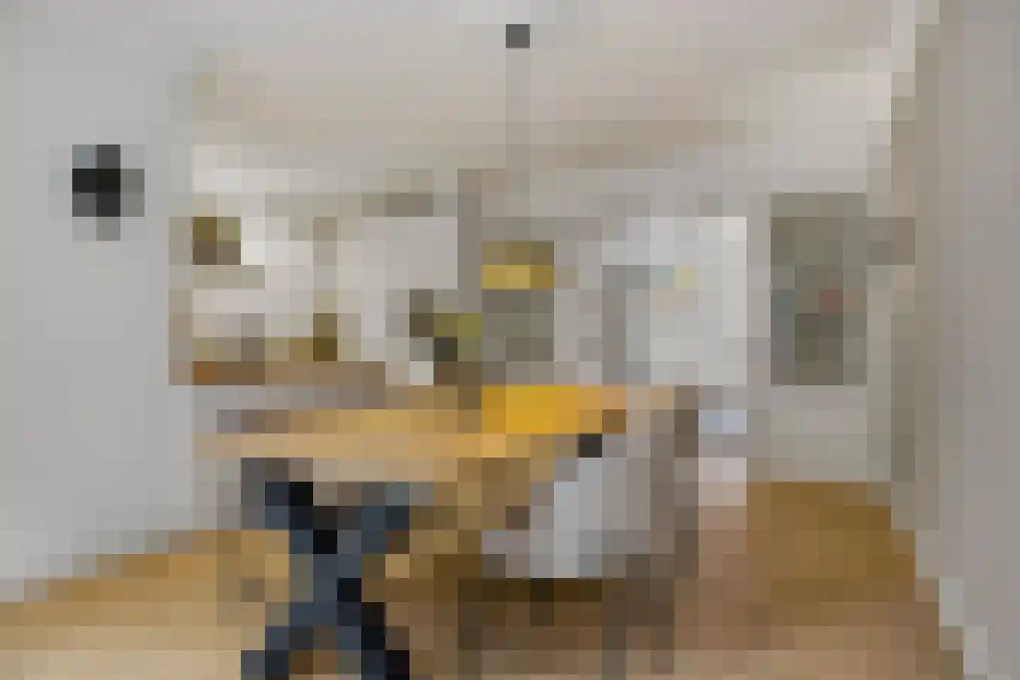 Marktstraat 7 Made thumbnail 4