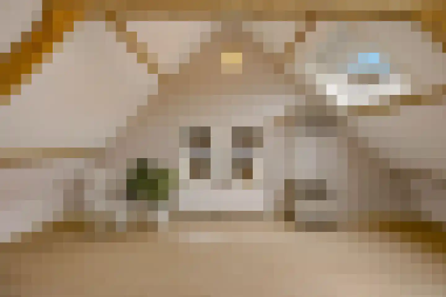 Marktstraat 7 Made thumbnail 45