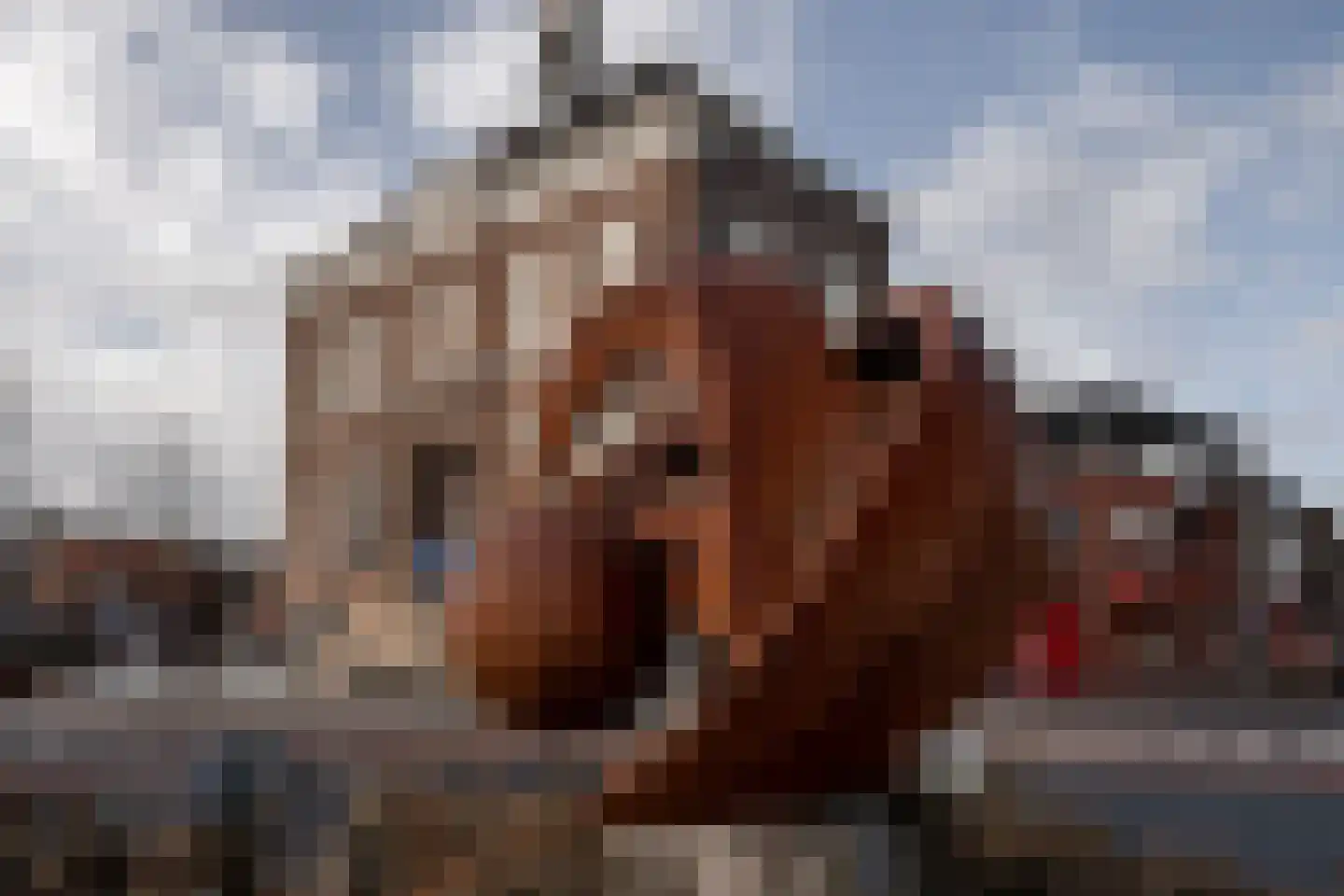 Marktstraat 7 Made thumbnail 47