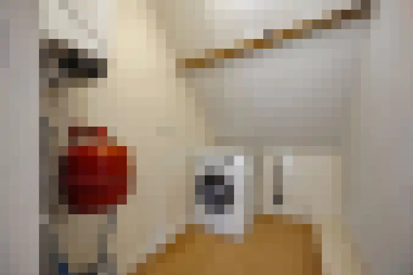 Marktstraat 7 Made thumbnail 47
