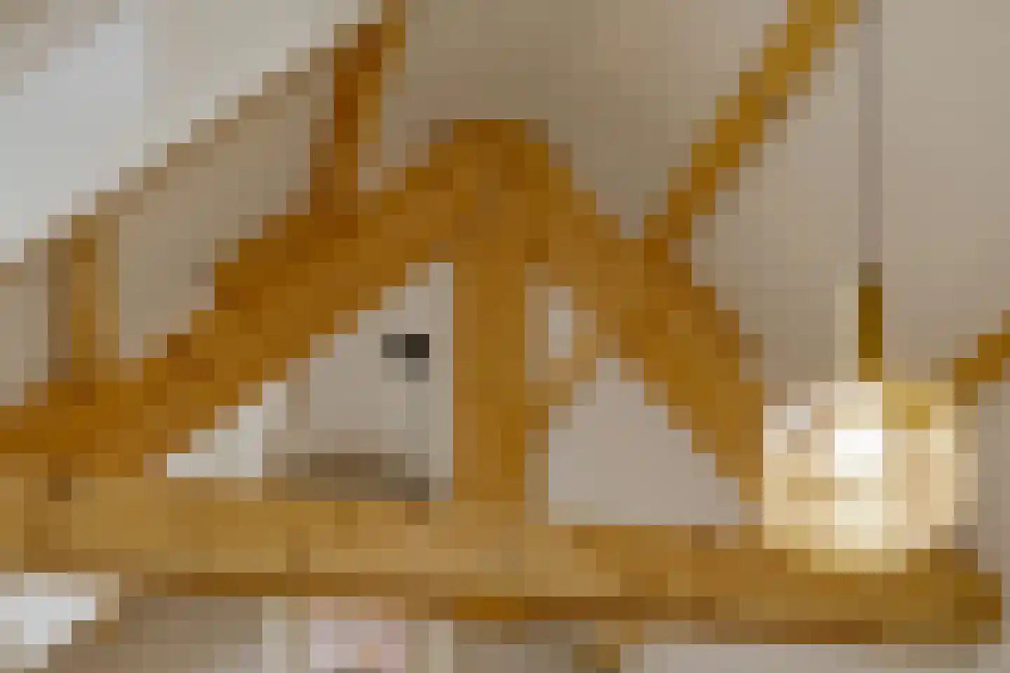Marktstraat 7 Made thumbnail 7