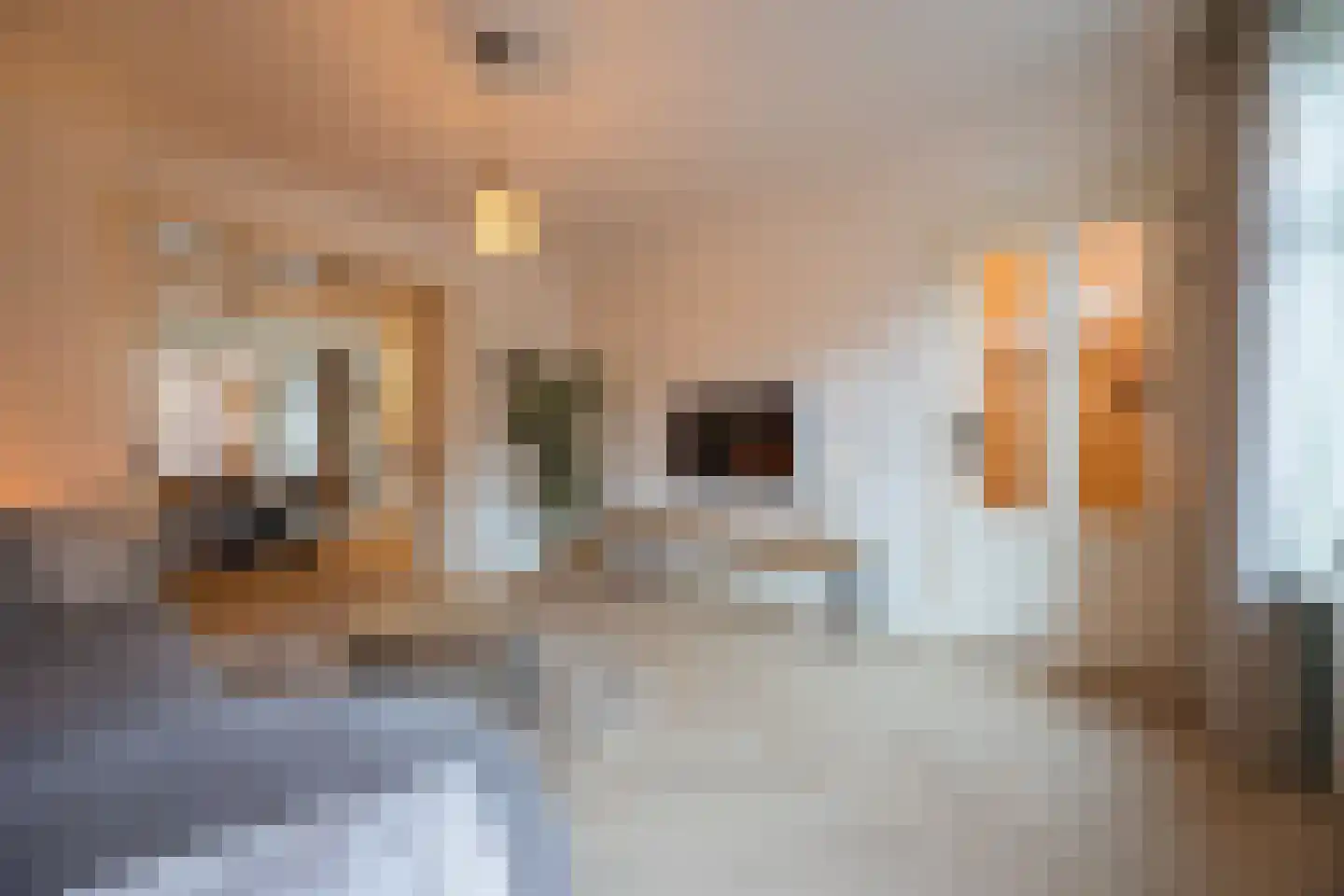 Marktstraat 7 Made thumbnail 9