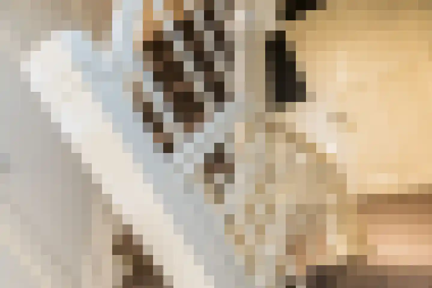 Marktstraat 7 Wessem thumbnail 38