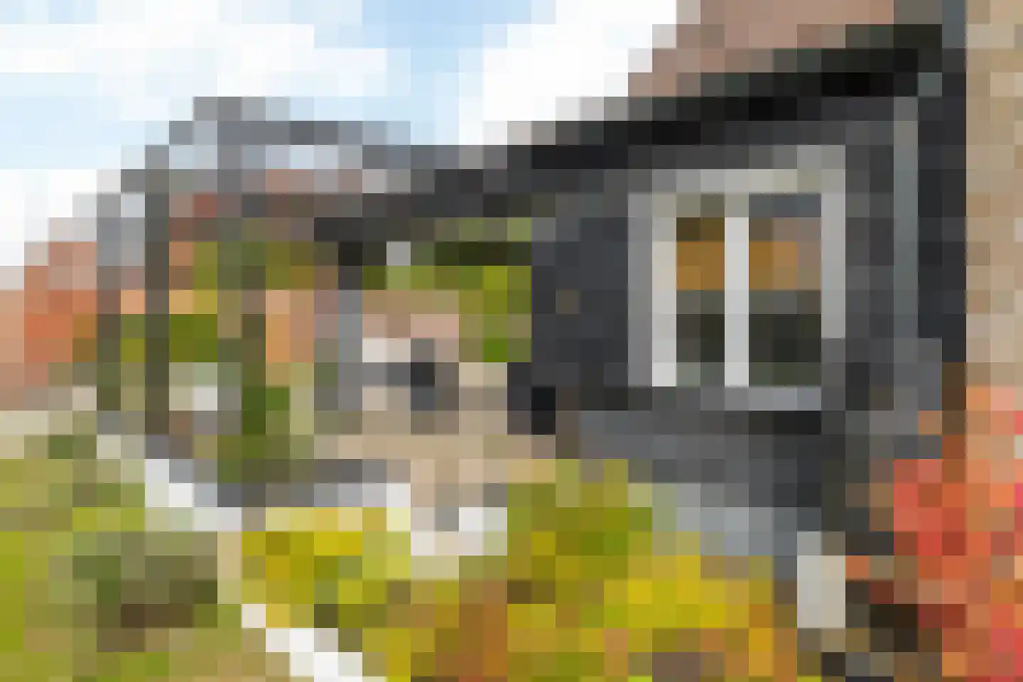 Marktstraat 7 Wessem thumbnail 41