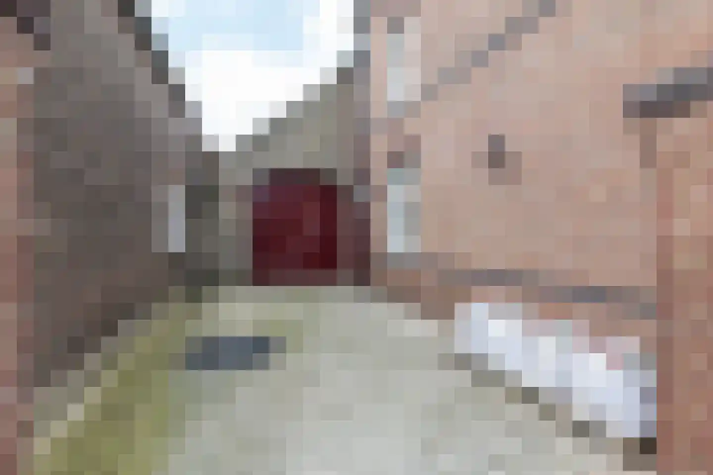 Marktstraat 7 Wessem thumbnail 54