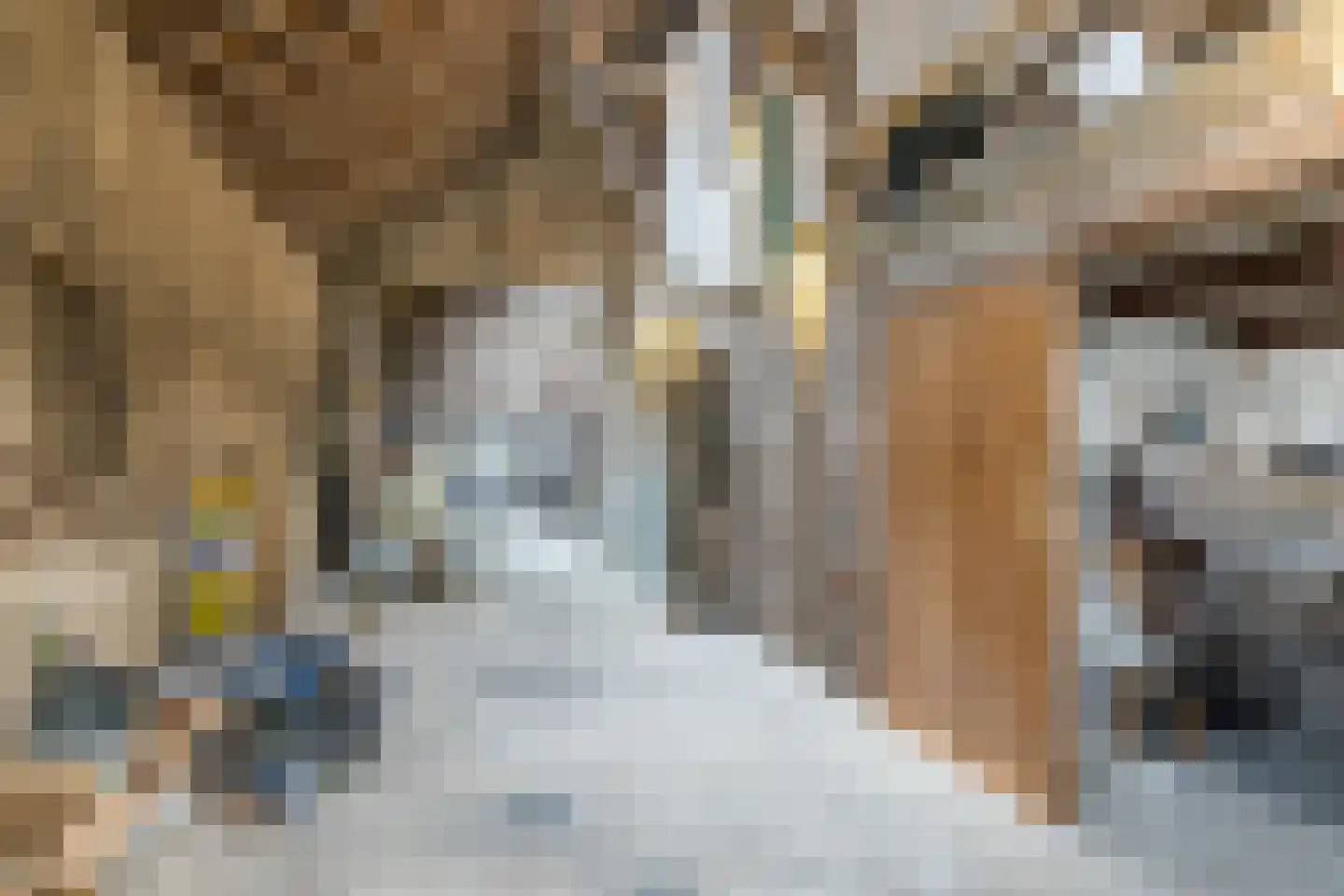 Marktstraat 7 Wessem thumbnail 56