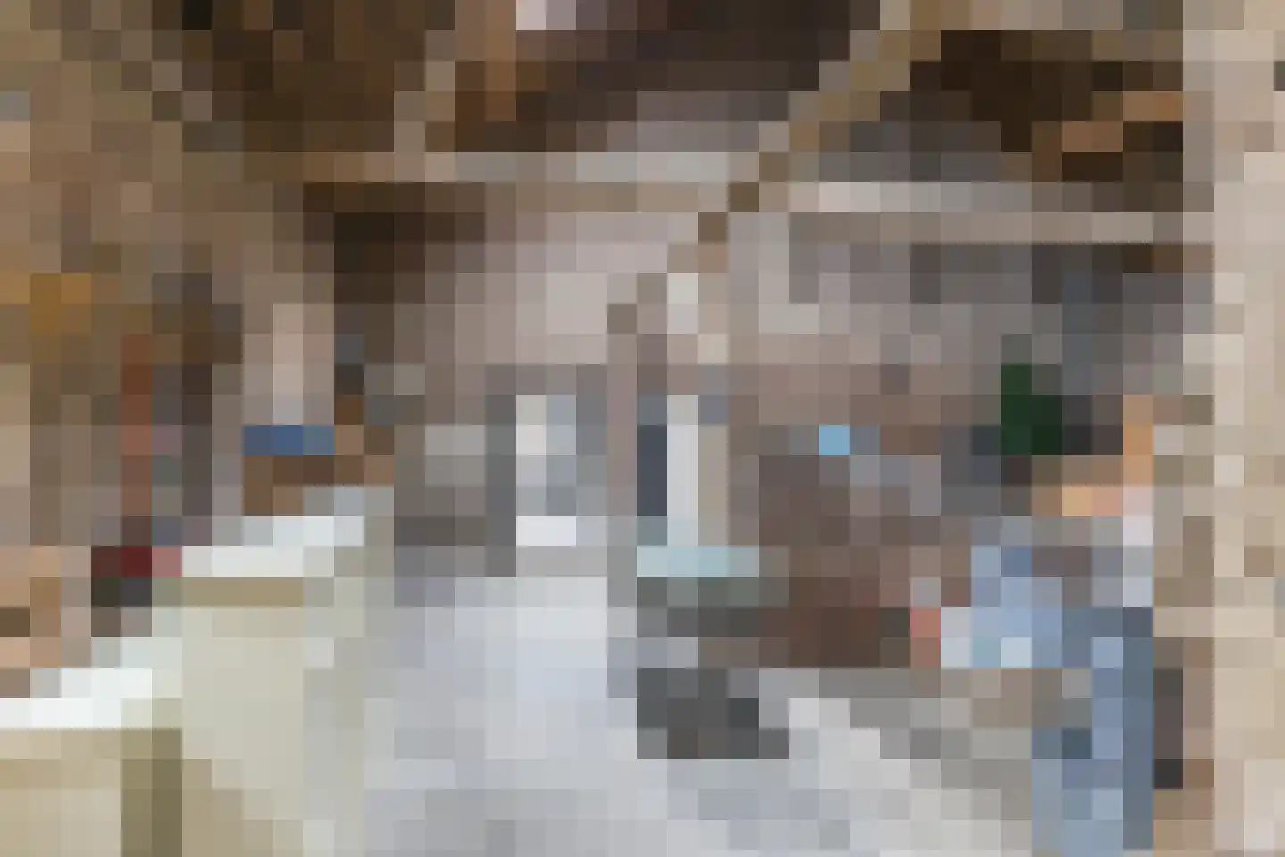 Marktstraat 7 Wessem thumbnail 57