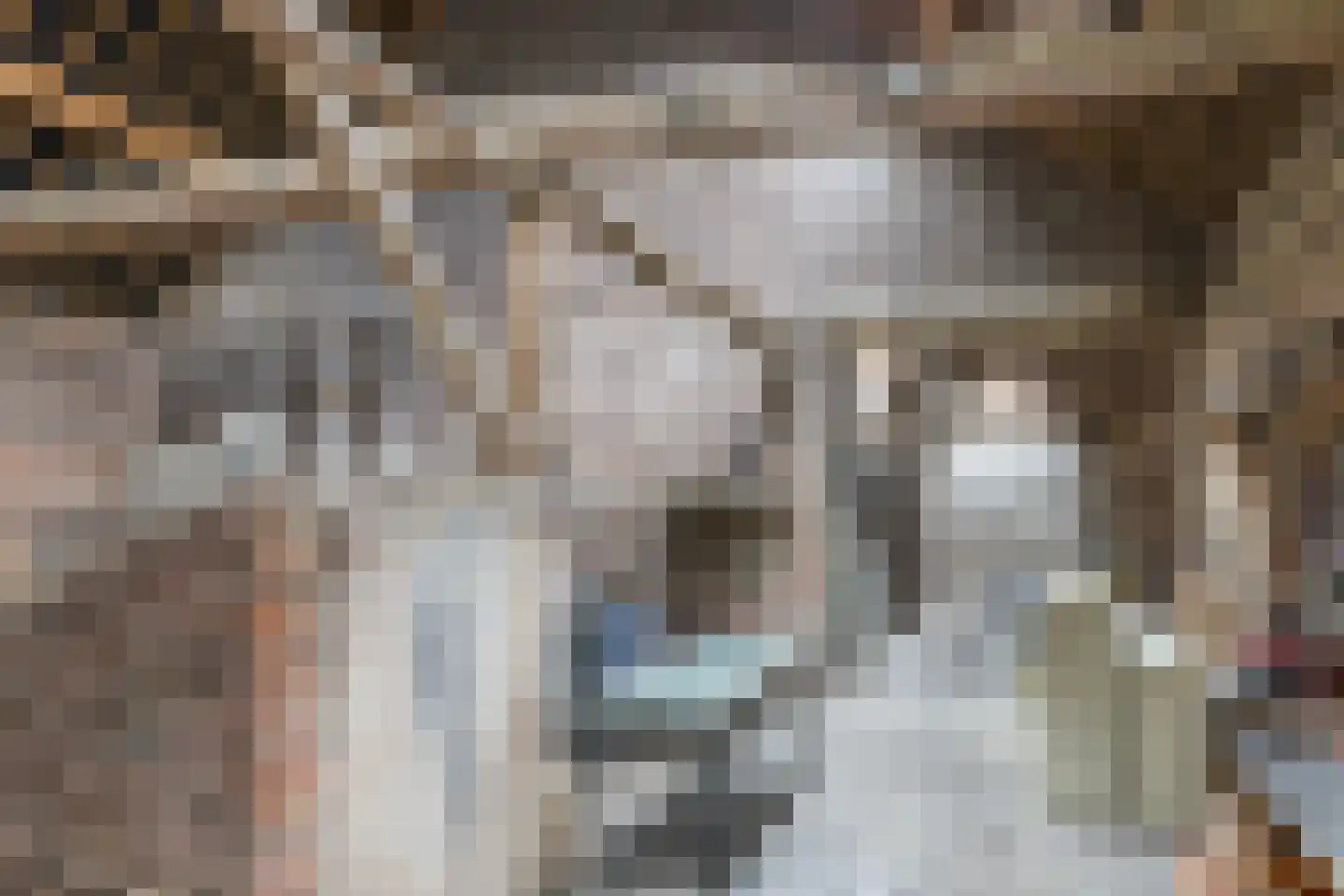 Marktstraat 7 Wessem thumbnail 58