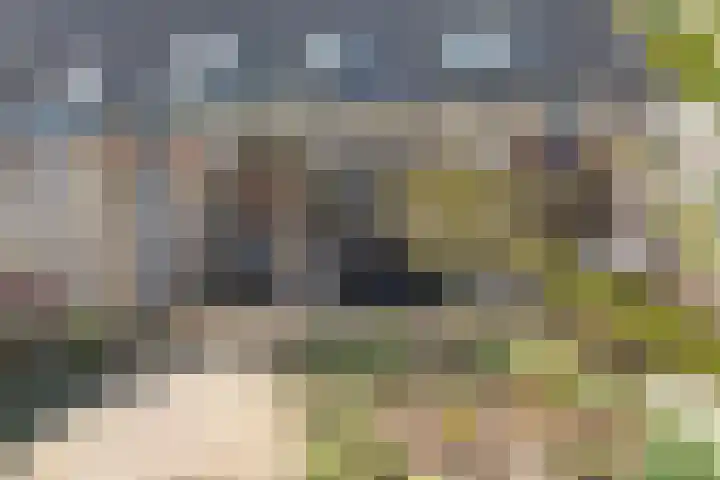 Marktstraat 75 Raalte thumbnail 30