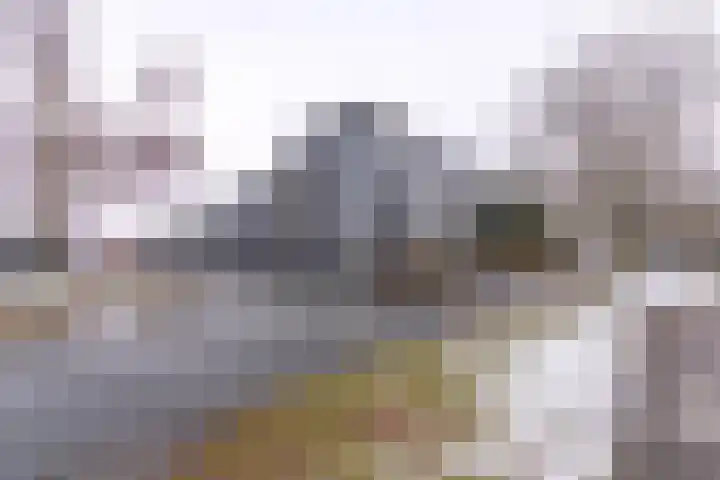 Marktstraat 75 Ter Apel thumbnail 40