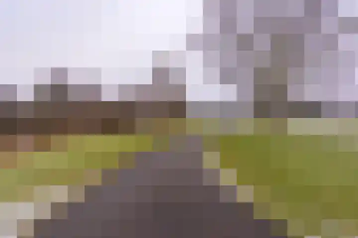 Marktstraat 75 Ter Apel thumbnail 41