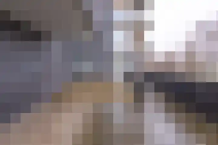 Marktstraat 75 Ter Apel thumbnail 7