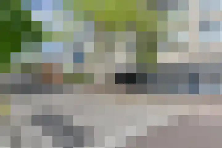 Marktstraat 79 Musselkanaal thumbnail 7