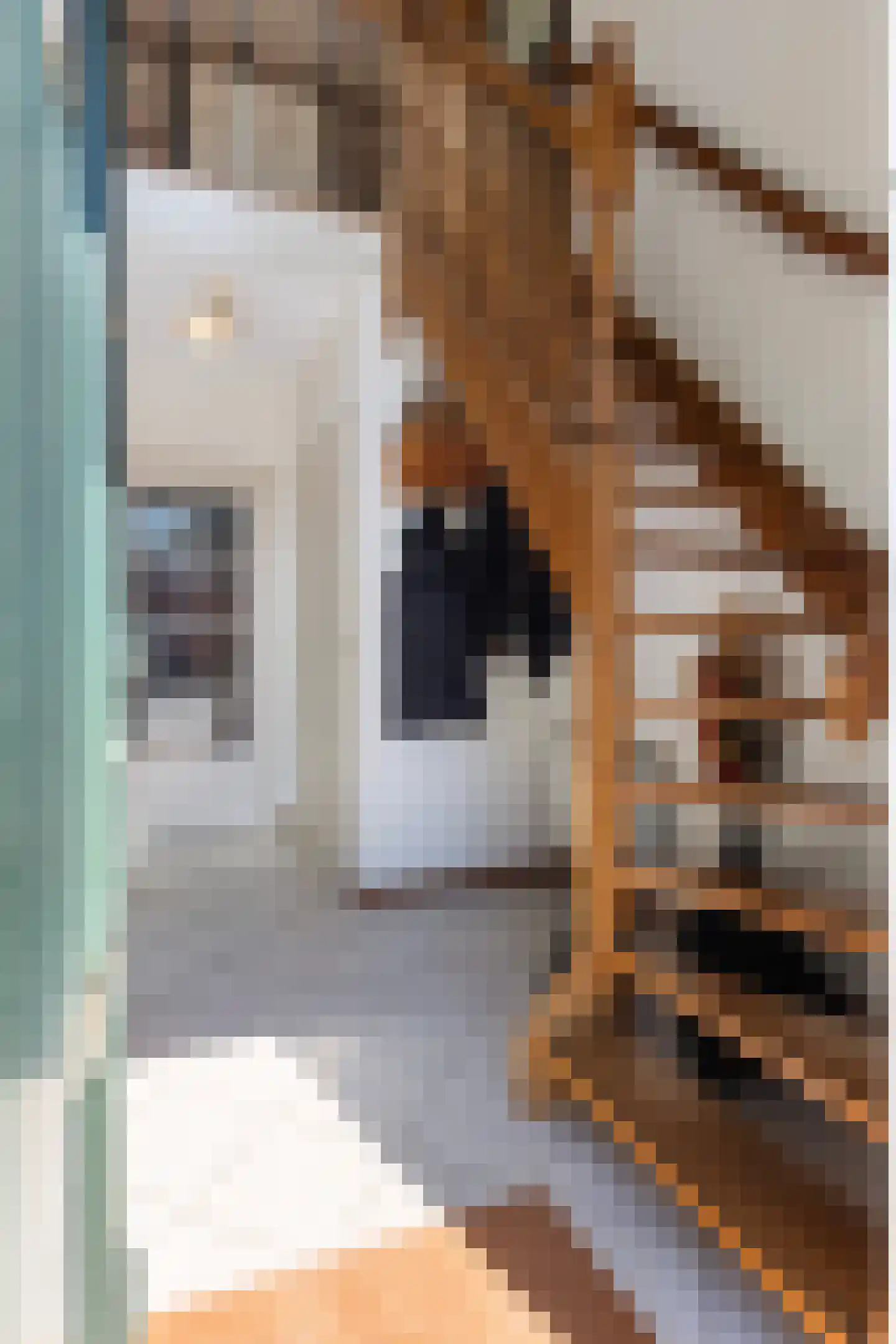 Marktstraat 8 Oene thumbnail 18