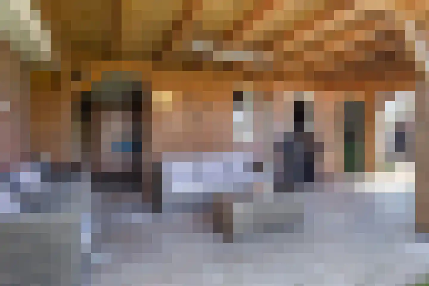 Marktstraat 8 Oene thumbnail 32