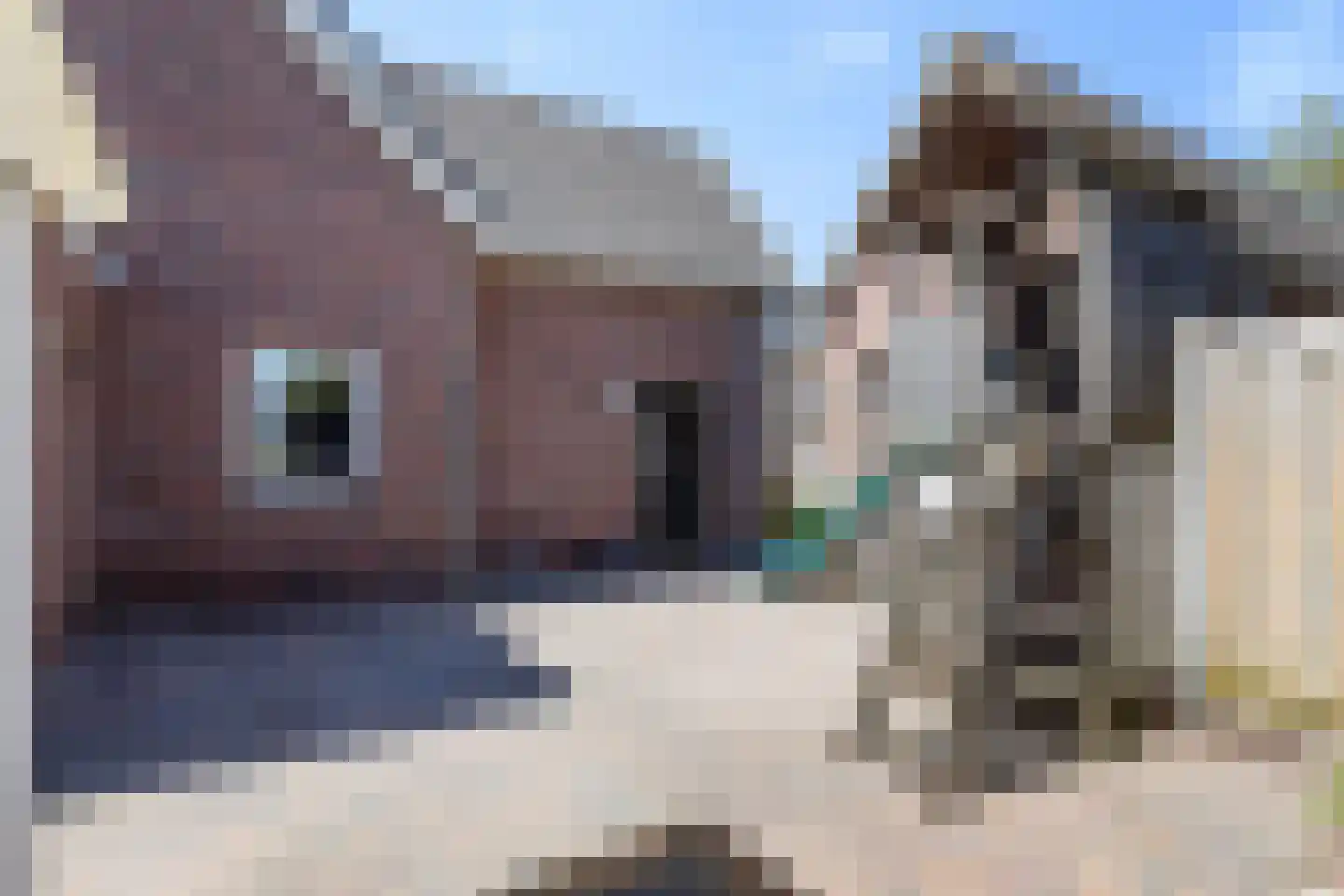 Marktstraat 8 Oene thumbnail 40