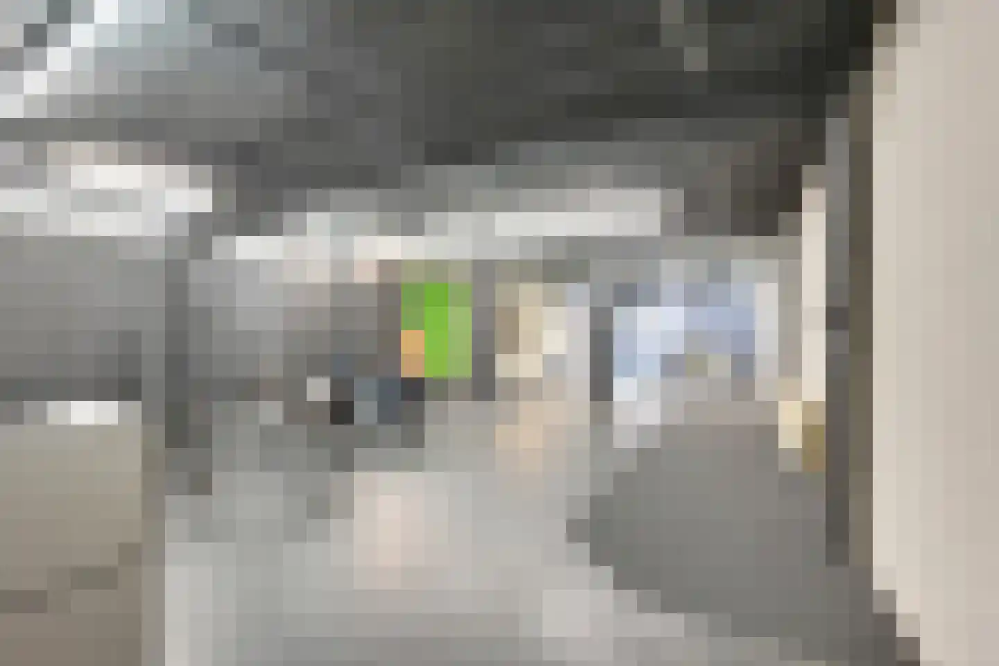Marktstraat 8 Zevenaar thumbnail 36
