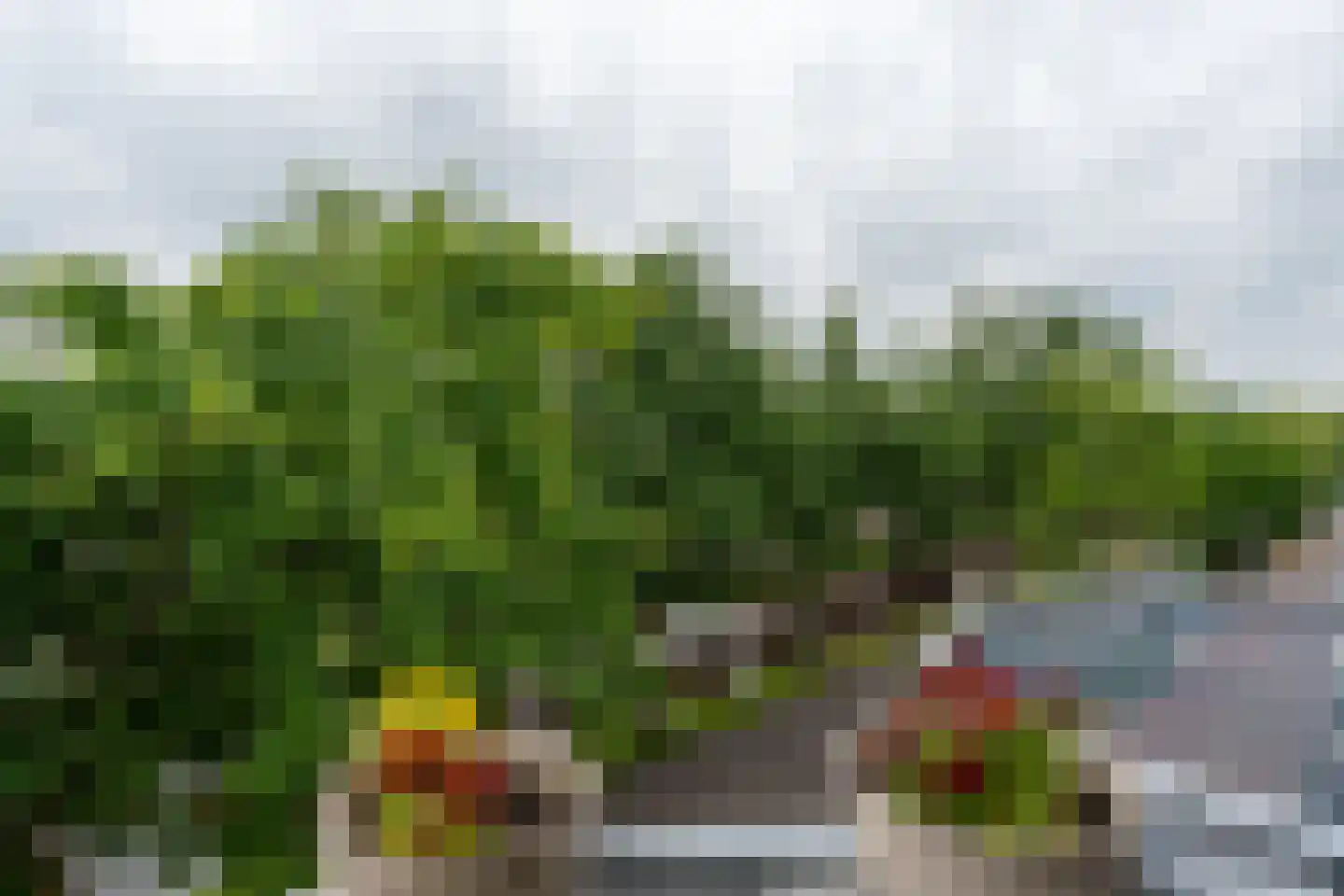 Marktstraat 81 A Musselkanaal thumbnail 11