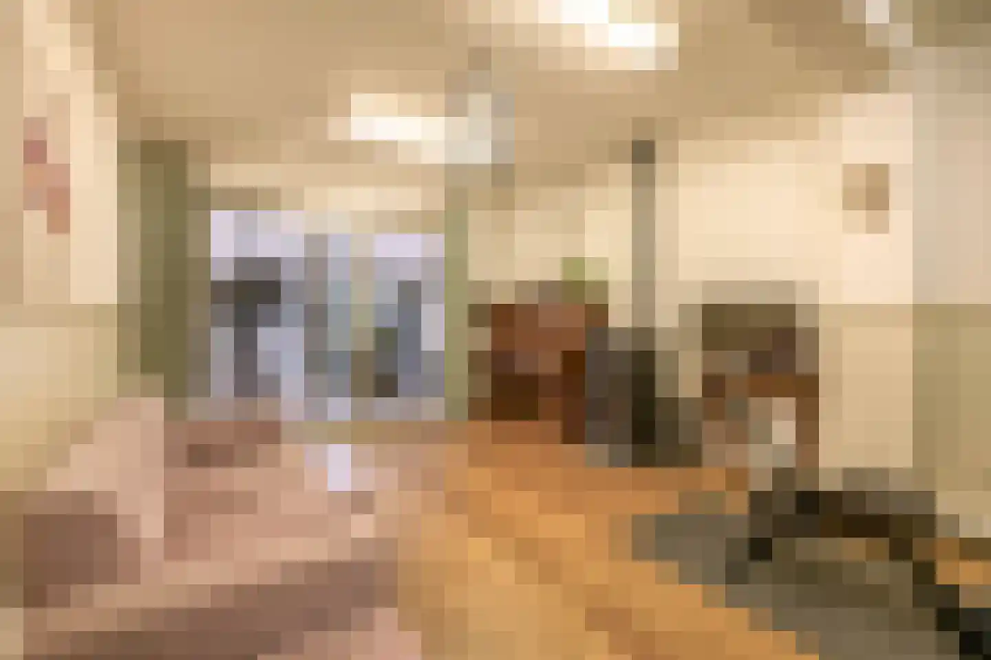 Marktstraat 9 Baarlo thumbnail 10